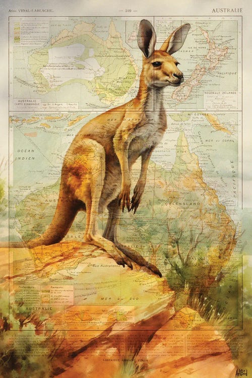 Kangaroo Australia by TOMADEE wall art