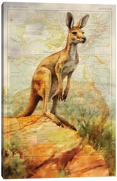 Kangaroo Australia Canvas Art Print - TOMADEE