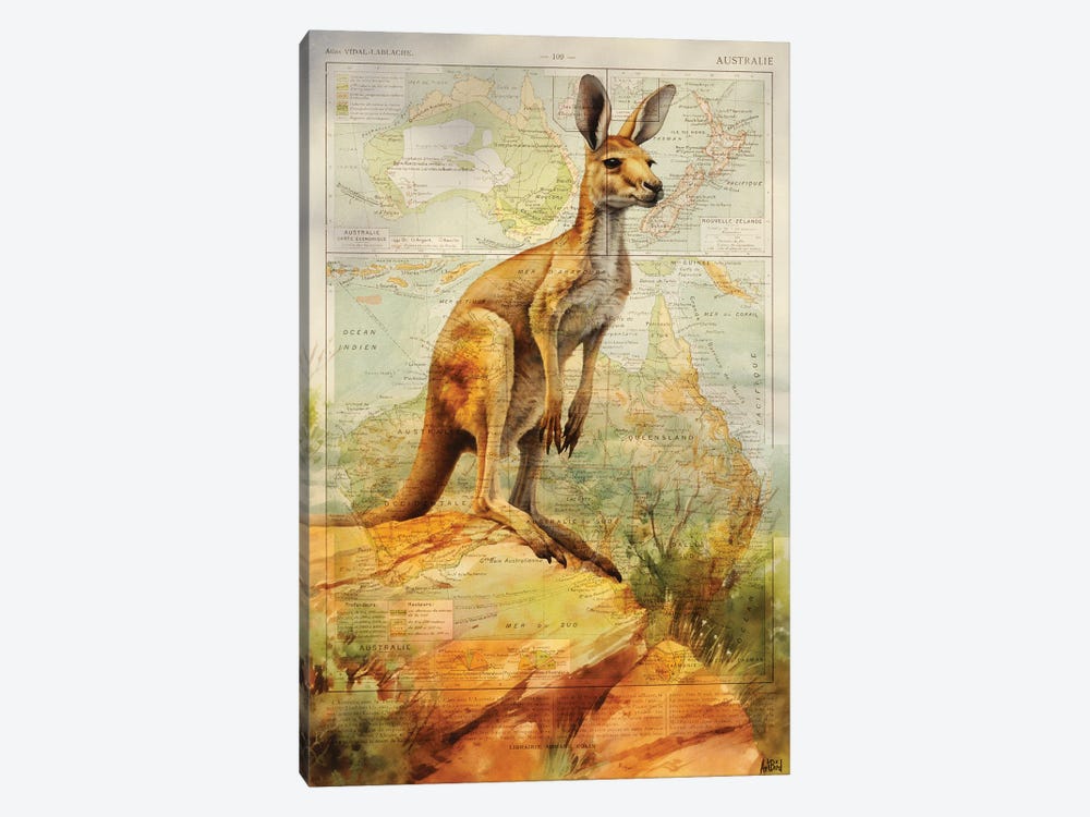 Kangaroo Australia by TOMADEE 1-piece Canvas Art
