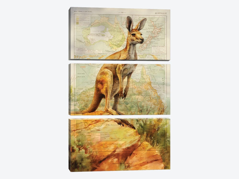 Kangaroo Australia by TOMADEE 3-piece Canvas Wall Art