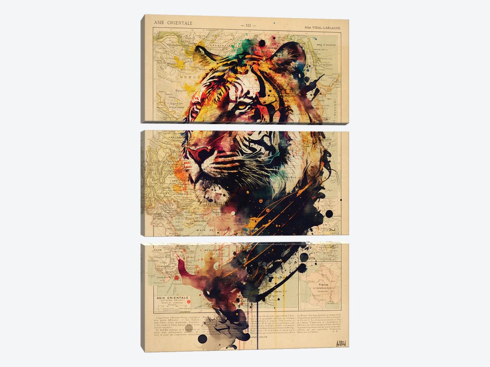 Tiger Color by TOMADEE 3-piece Art Print