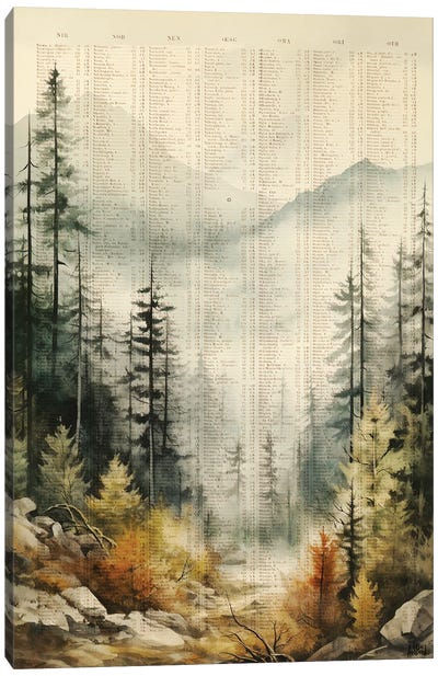 Cold Valley Canvas Art Print - TOMADEE