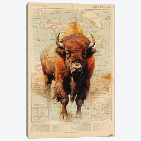 Bison Usa Canvas Print #TLL133} by TOMADEE Art Print