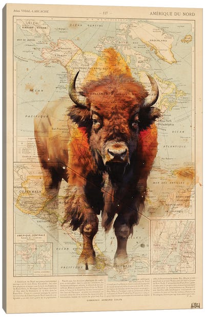 Bison Usa Canvas Art Print - Large Map Art
