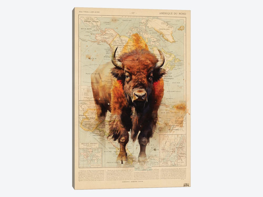 Bison Usa by TOMADEE 1-piece Canvas Art Print
