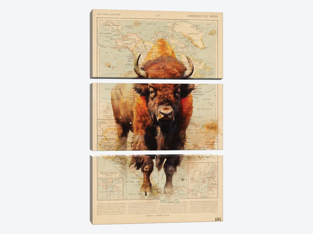 Bison Usa by TOMADEE 3-piece Art Print