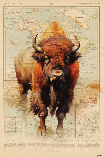 Bison USA