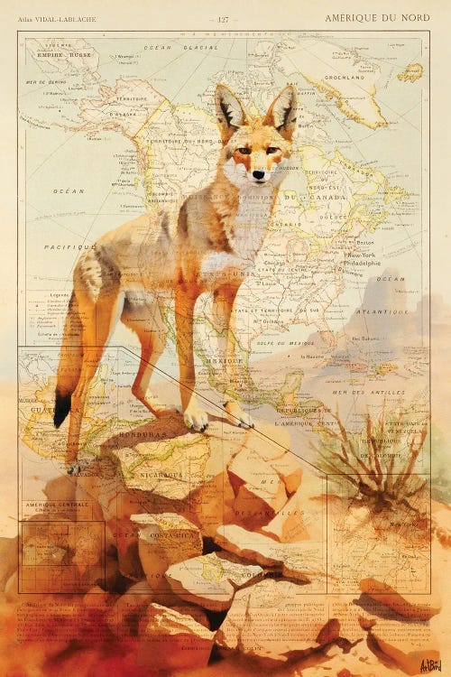 Coyote by TOMADEE wall art