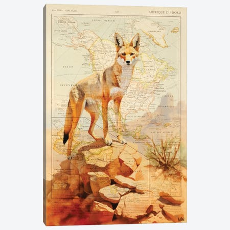 Coyote Canvas Print #TLL137} by TOMADEE Canvas Art