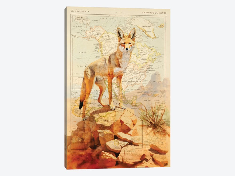 Coyote by TOMADEE 1-piece Canvas Art Print