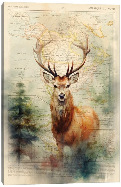 Deer Canvas Art Print - TOMADEE