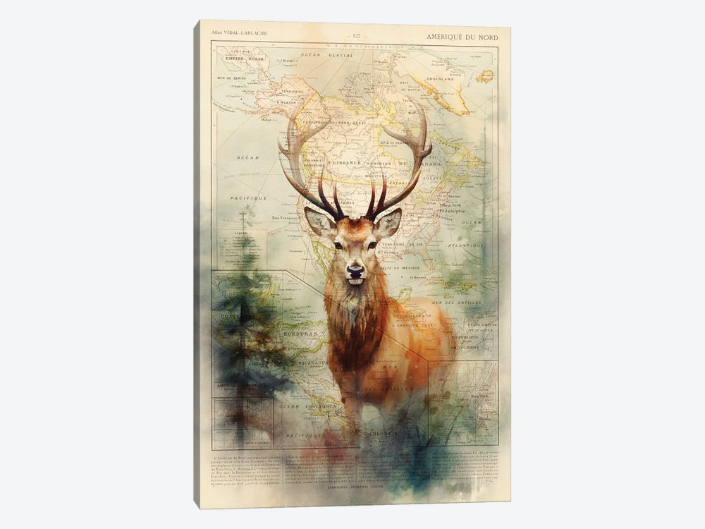 Deer by TOMADEE 1-piece Canvas Art