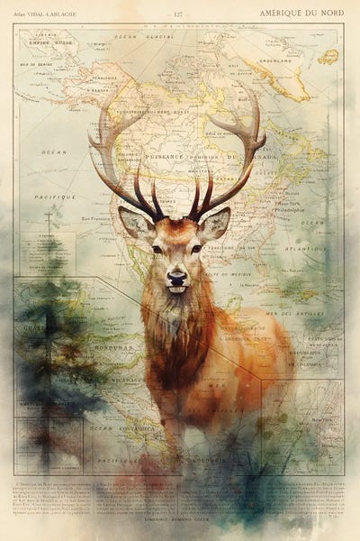 TOMADEE: Deer by TOMADEE