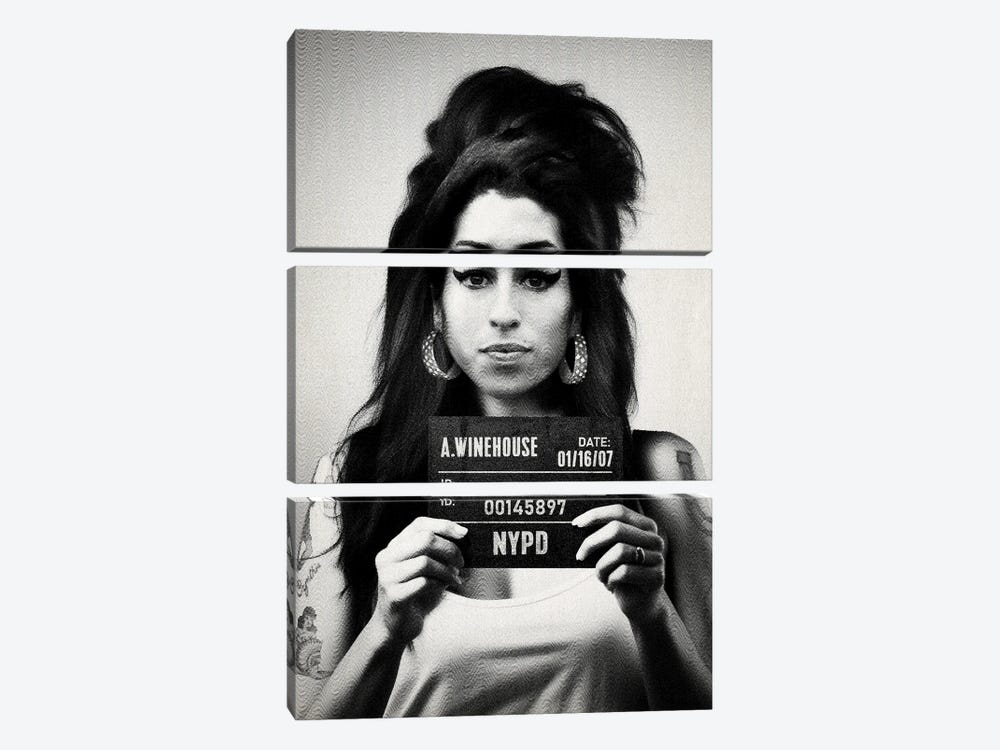 Amy Winehouse Mugshot by TOMADEE 3-piece Canvas Artwork