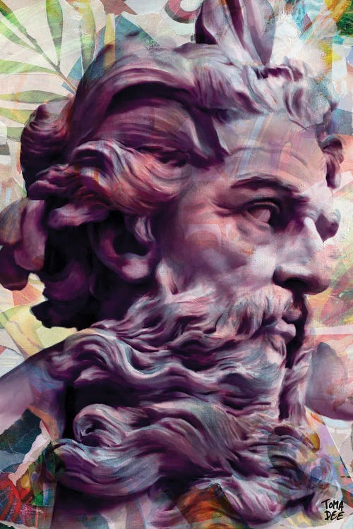 Zeus by TOMADEE wall art