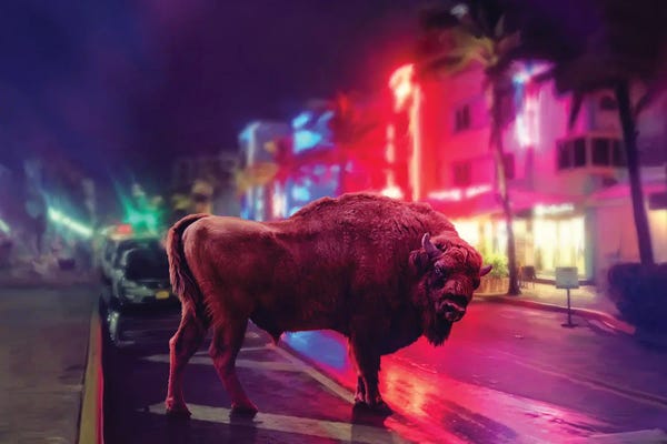 TOMADEE: Wild Night by TOMADEE