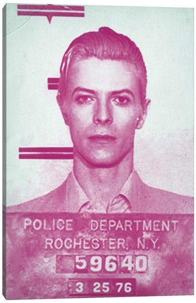 David Bowie Mugshot Canvas Art Print - Bar Art