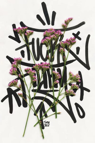 TOMADEE: Urban Flowers by TOMADEE