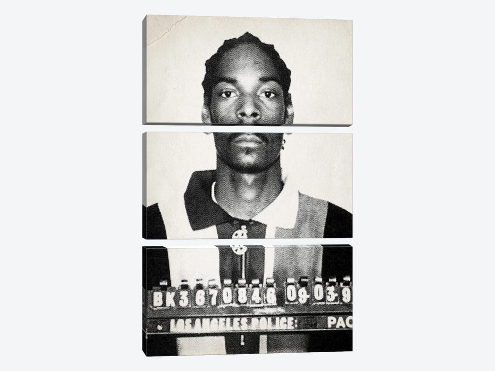 Snoop Mugshot by TOMADEE 3-piece Canvas Art
