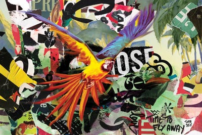 Parrot by TOMADEE art print