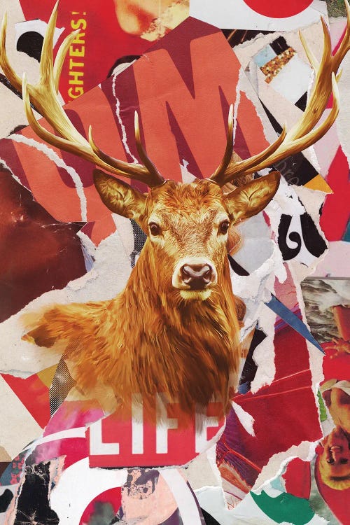 Deer Life by TOMADEE wall art