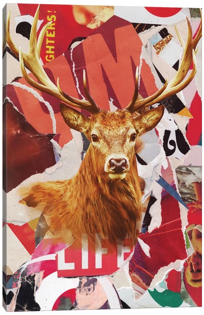Deer Life Canvas Art Print - TOMADEE