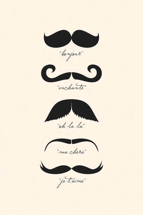Monsieur Moustache