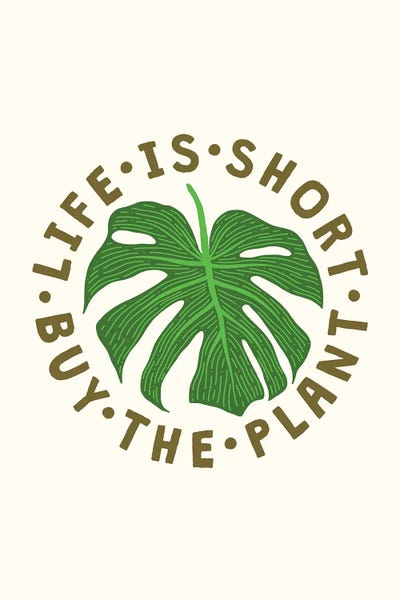 Life Is Short Buy The Plant by The Love Shop canvas print