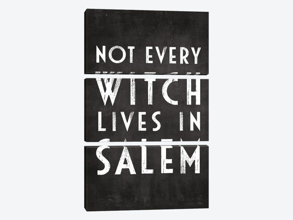 Not Every Witch Lives In Salem by The Love Shop 3-piece Canvas Art