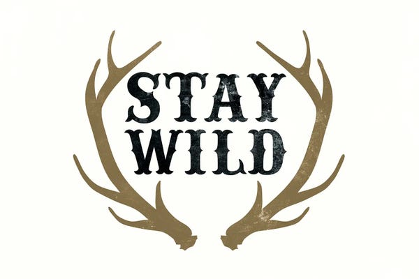 The Love Shop: Stay Wild by The Love Shop