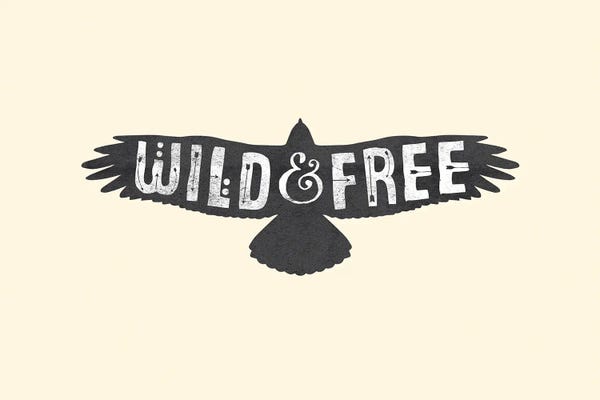 The Love Shop: Wild & Free by The Love Shop