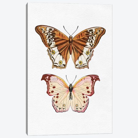Butterflies Canvas Print #TLS178} by The Love Shop Canvas Artwork