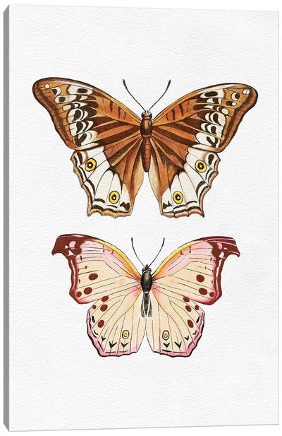 Butterflies Canvas Art Print - The Love Shop