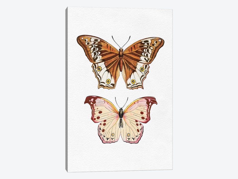 Butterflies by The Love Shop 1-piece Canvas Art Print