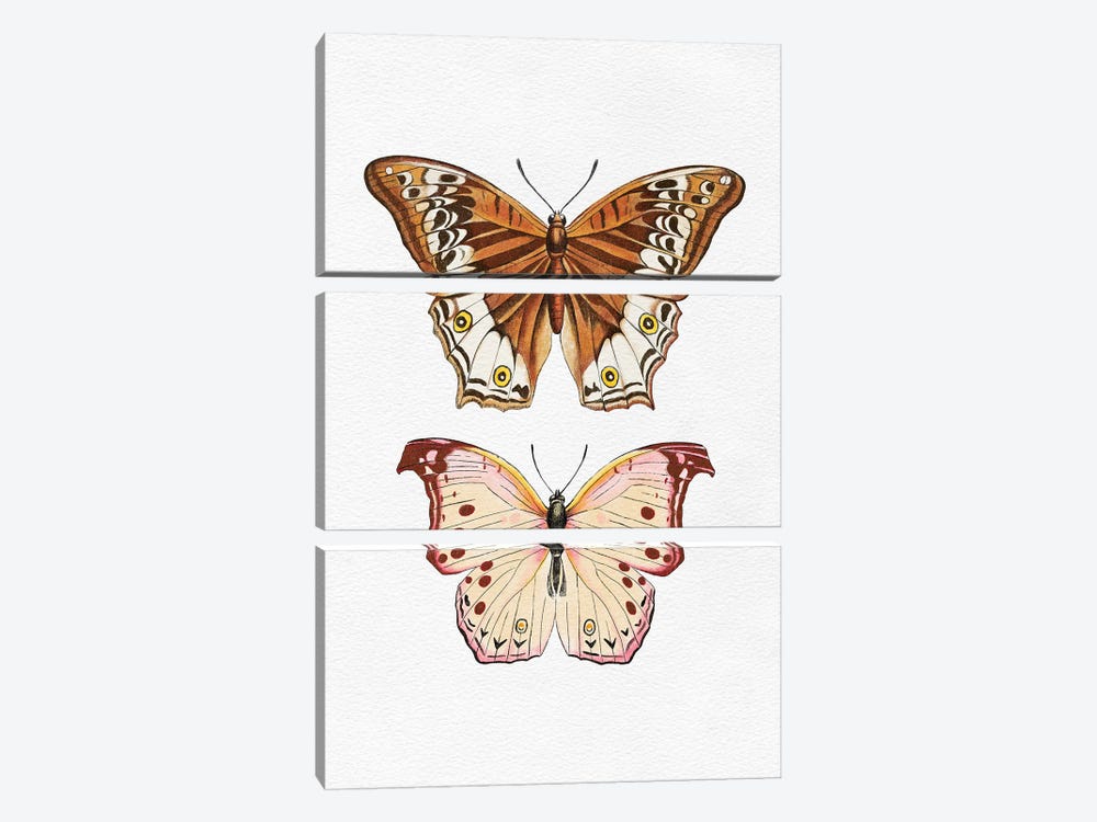 Butterflies by The Love Shop 3-piece Canvas Art Print
