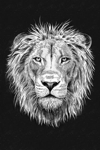Lion by The Love Shop acrylic art print
