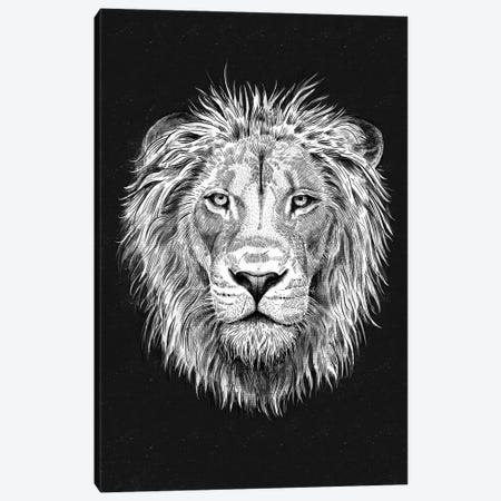 Lion Canvas Print #TLS180} by The Love Shop Canvas Print
