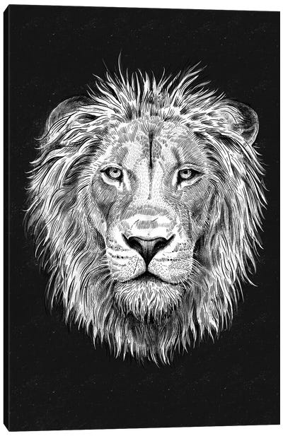 Lion Canvas Art Print - The Love Shop