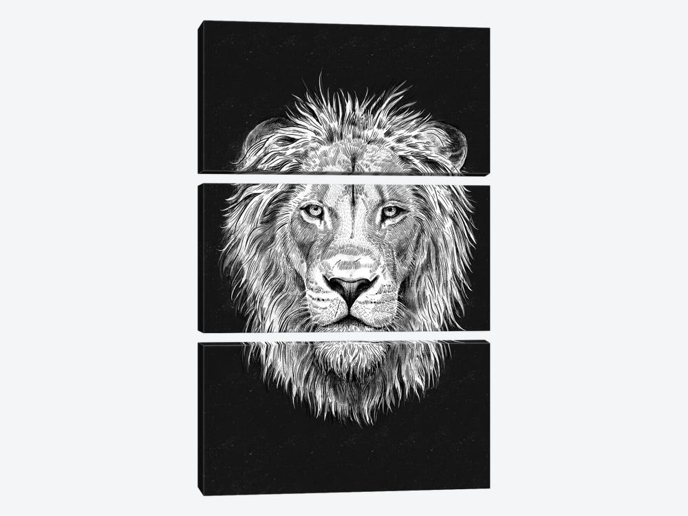 Lion by The Love Shop 3-piece Canvas Art