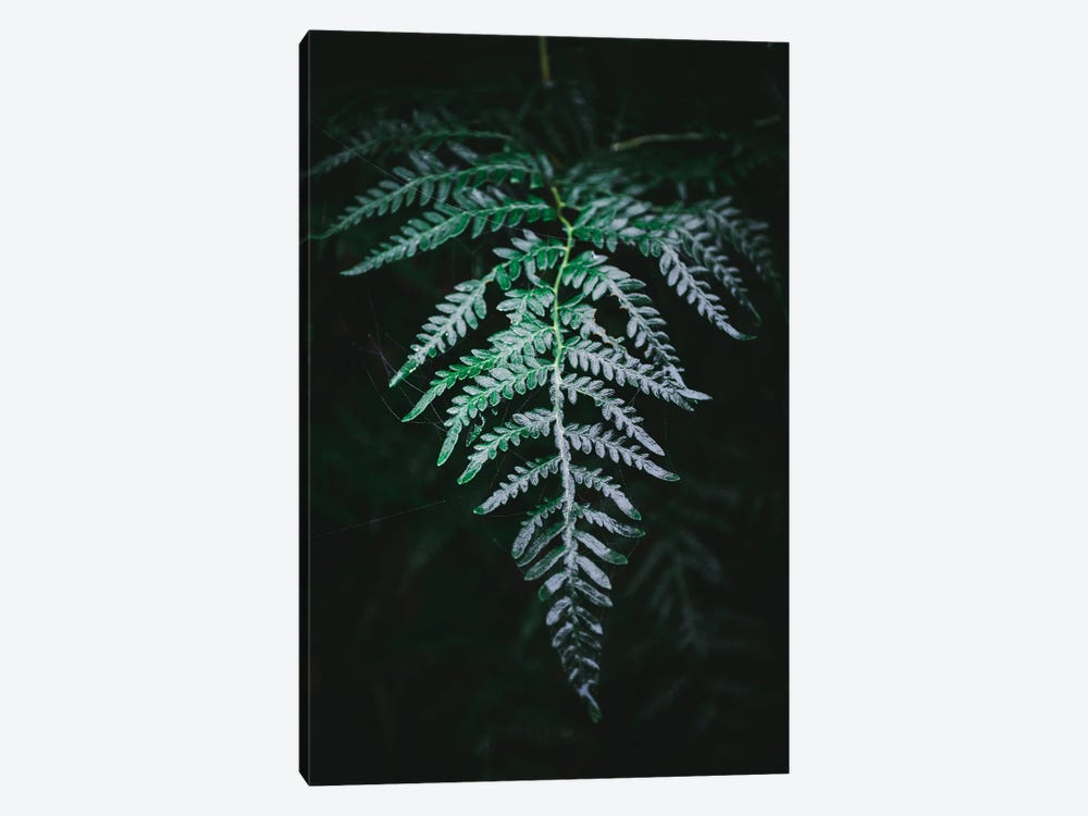 Forest Fern by The Love Shop 1-piece Canvas Print