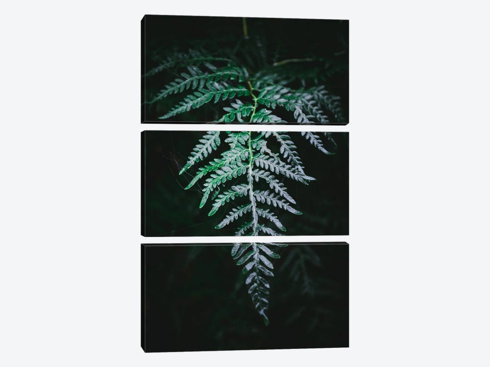 Forest Fern by The Love Shop 3-piece Canvas Print