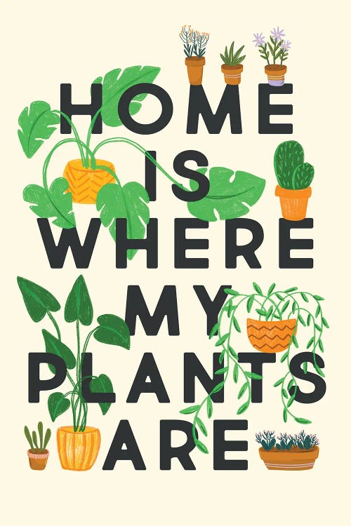 Home Is Where My Plants Are