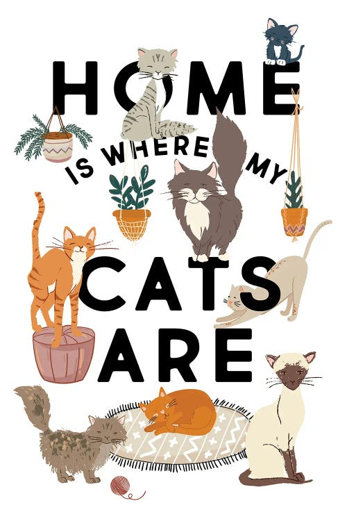 Home Is Where My Cats Are