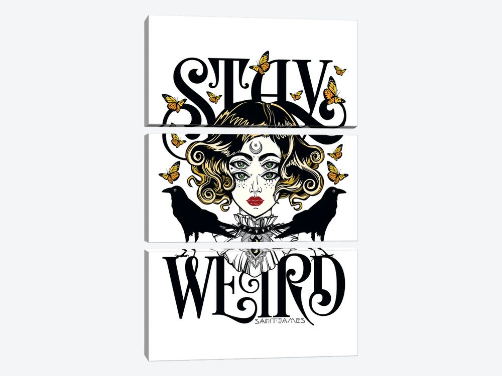 Stay Weird by The Love Shop 3-piece Canvas Artwork