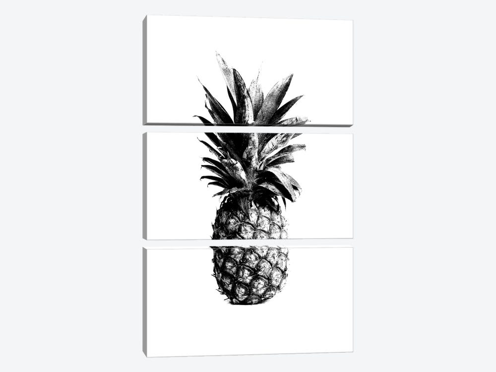 Pineapple Black by The Love Shop 3-piece Canvas Wall Art