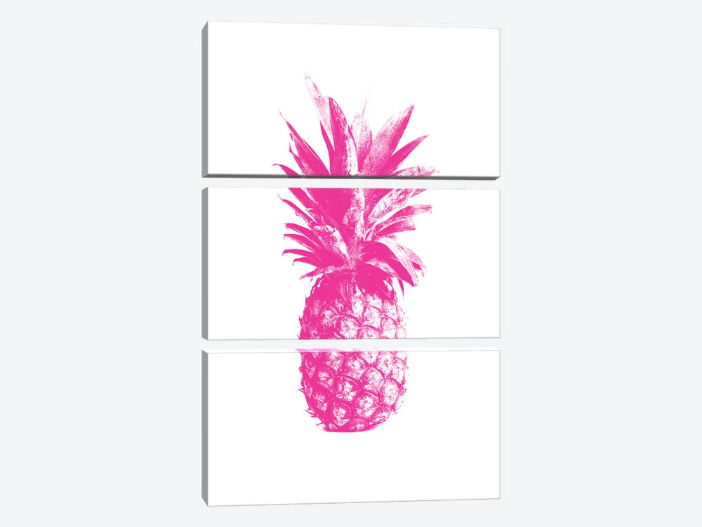 Pineapple Pink by The Love Shop 3-piece Canvas Art Print