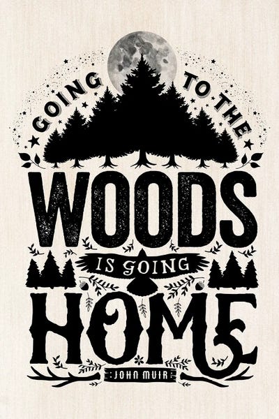 The Love Shop: Going To The Woods by The Love Shop