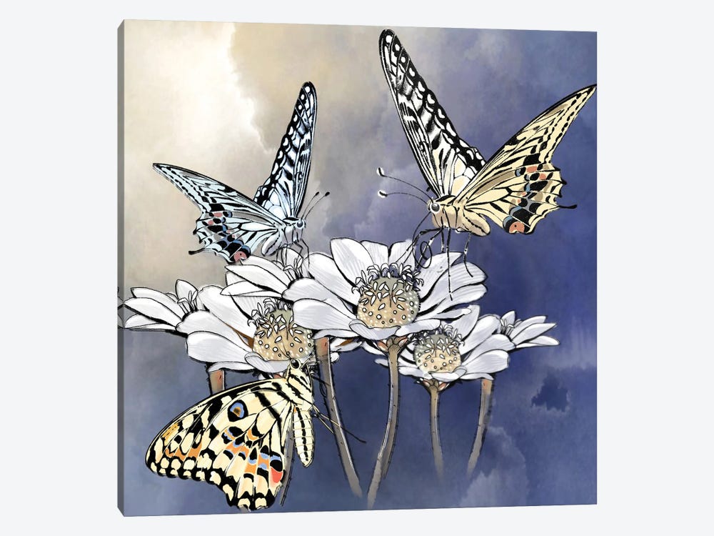 Softly Softly by Thomas Little 1-piece Canvas Art
