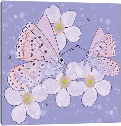Spring Butterflies Canvas Art Print