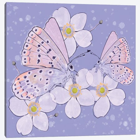 Spring Butterflies Canvas Print #TLT104} by Thomas Little Art Print
